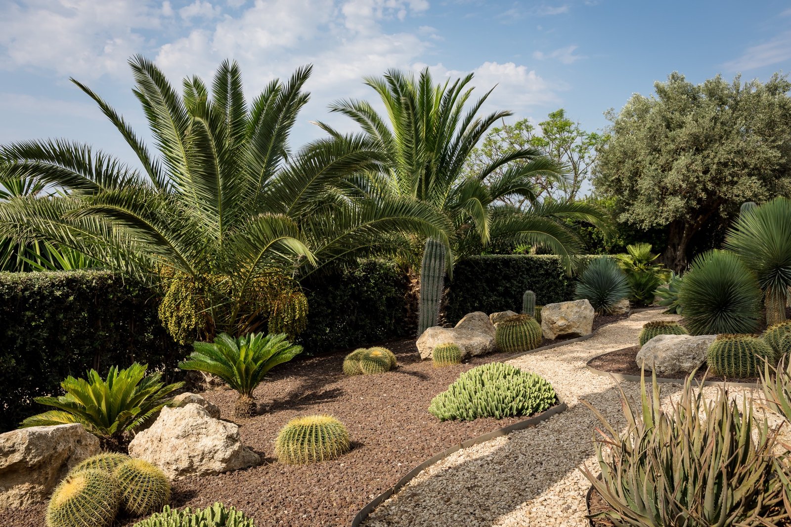 Mediterrane Landschaftsgestaltung auf Mallorca