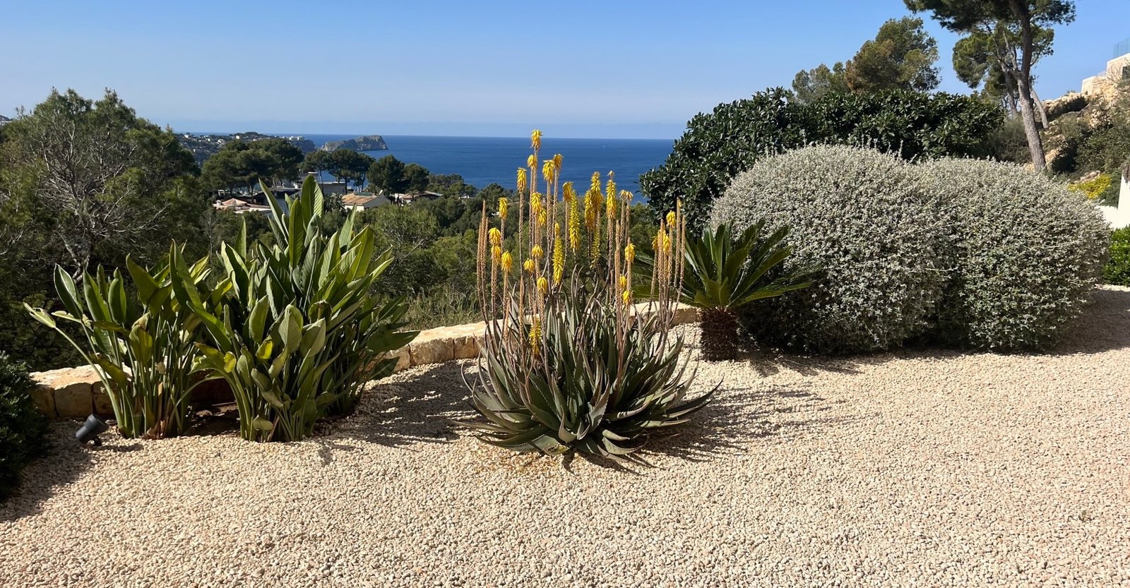 Mediterrane Landschaftsgestaltung auf Mallorca