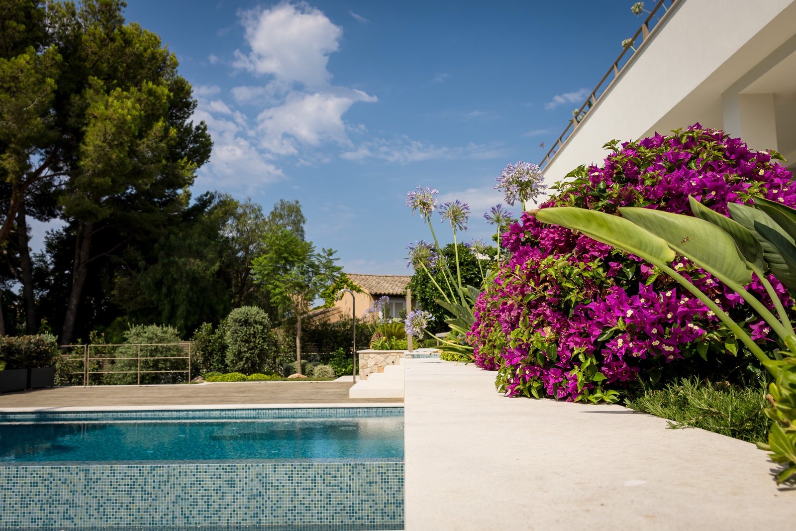 Blossoms at the Pool's Edge — Landschaftsdesign auf Mallorca